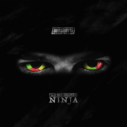 Filip Motovunski - Ninja