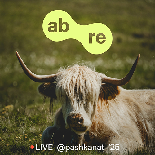 Ab Re-Live @ Paškanat